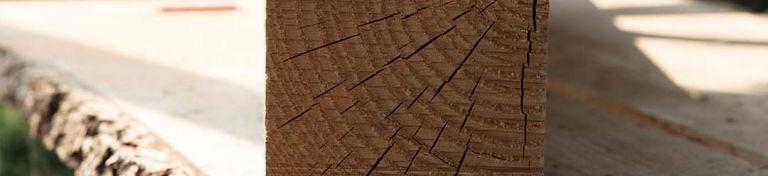 Hout (tuin- en timmerhout)